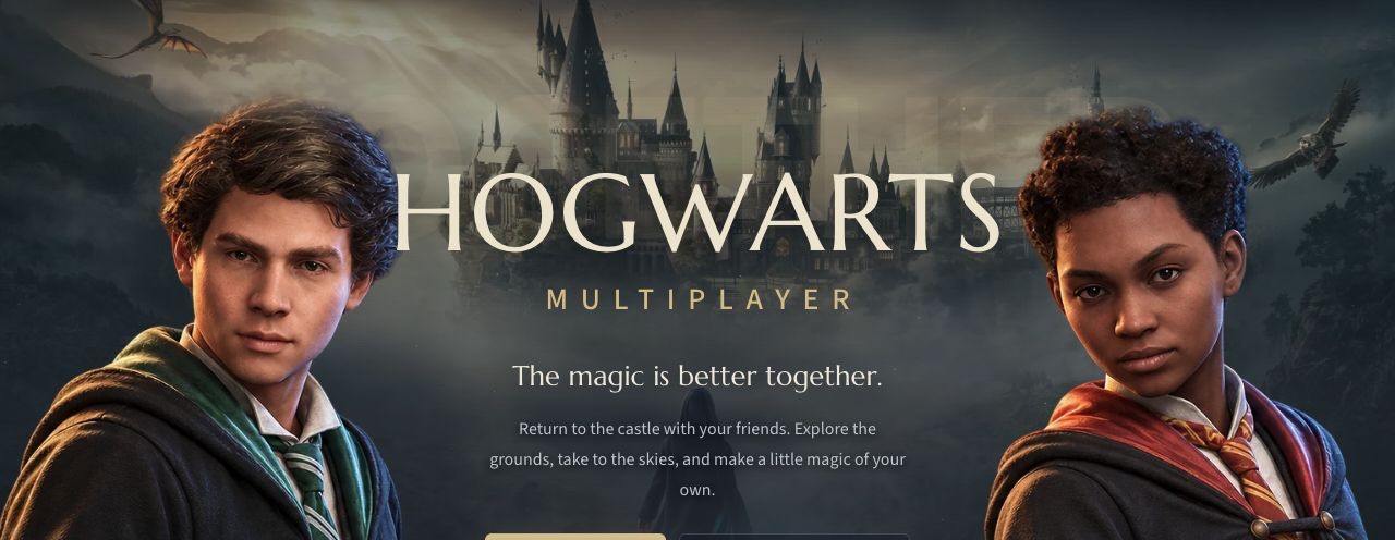 Hogwarts Multiplayer website hero featuring students in front of Hogwarts castle